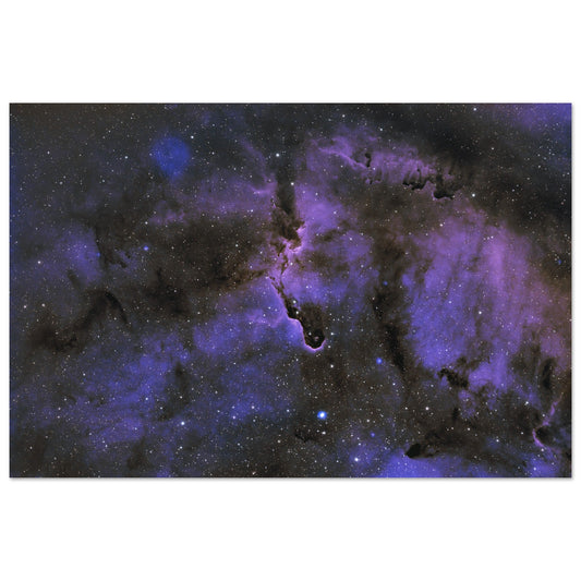 Aluminium Print - Elephant's Trunk Nebula-Matt’s Space Pics