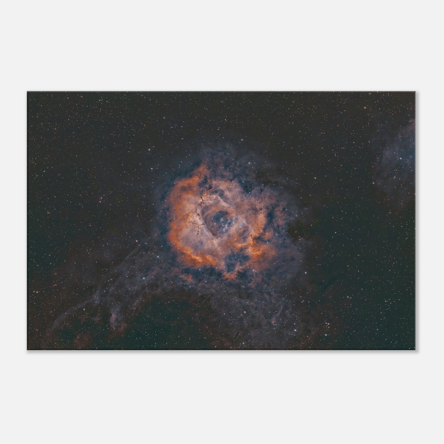 Canvas - The Rosette Nebula.