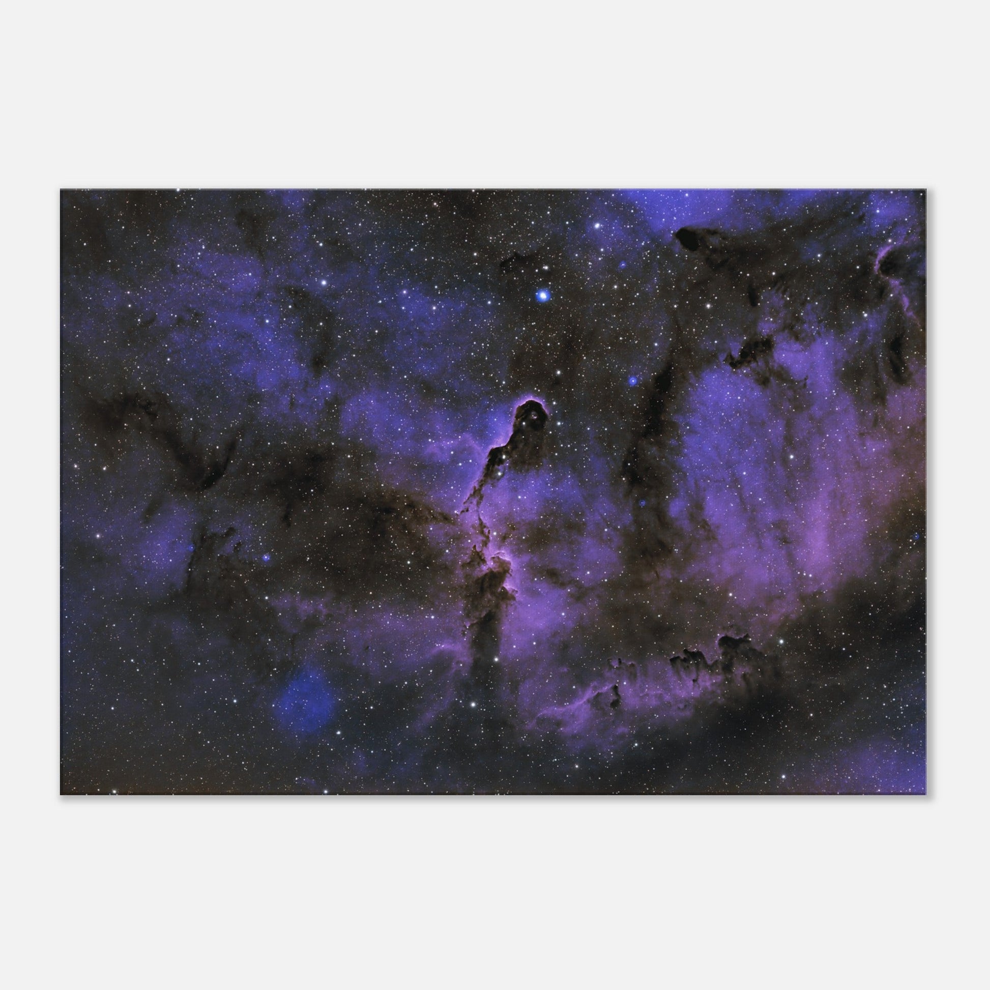 Canvas - The Elephant's Trunk Nebula-Matt’s Space Pics