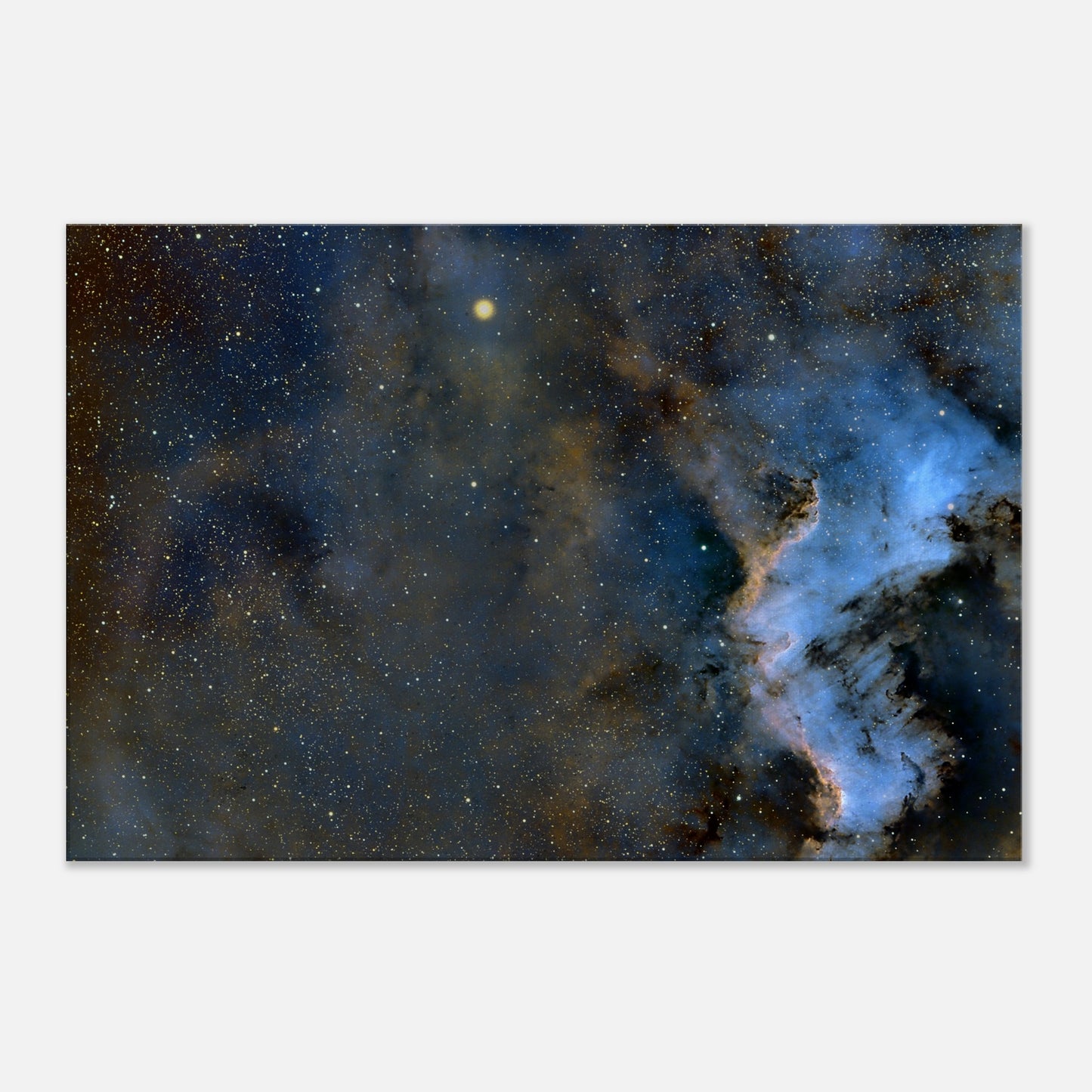 Canvas - Cygnus Wall