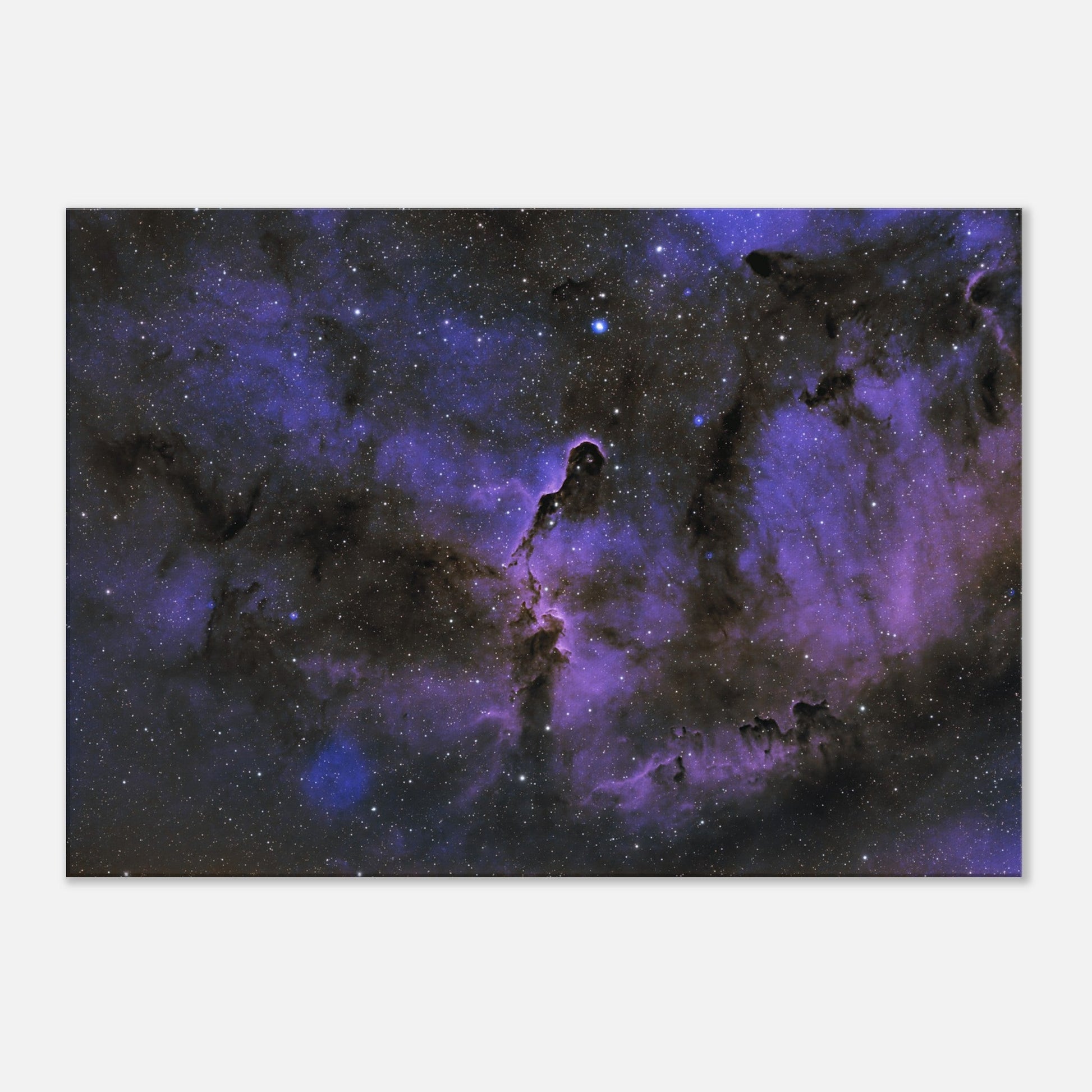 Canvas - The Elephant's Trunk Nebula-Matt’s Space Pics