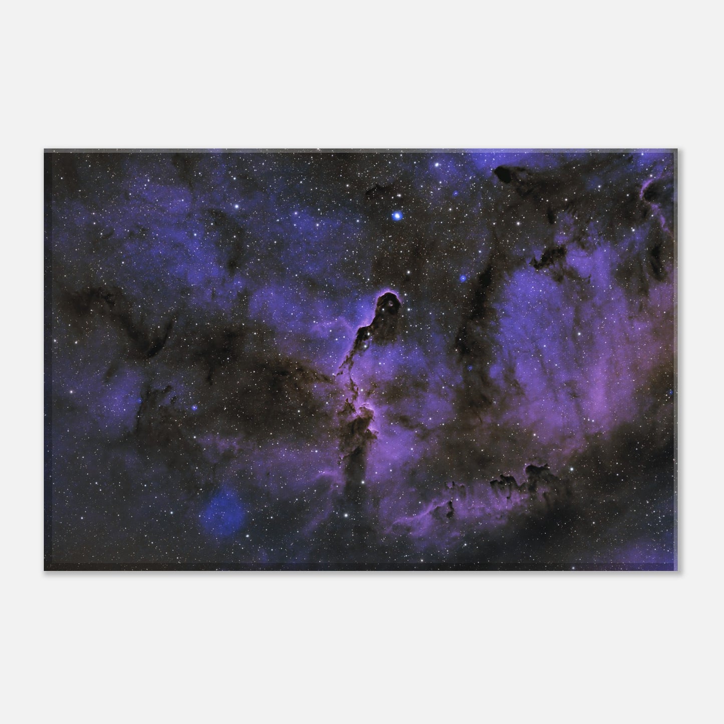 Canvas - The Elephant's Trunk Nebula