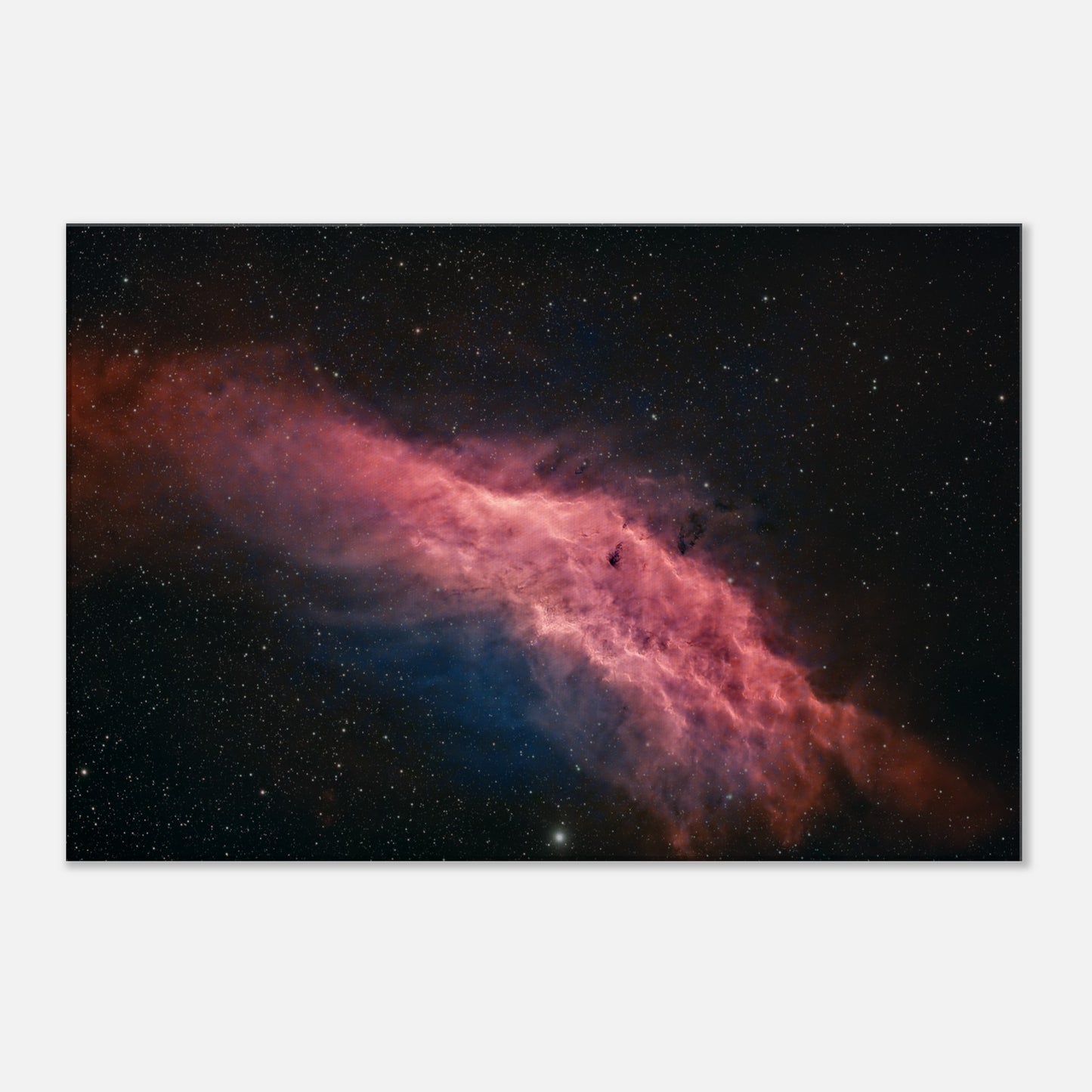 Canvas - The California Nebula