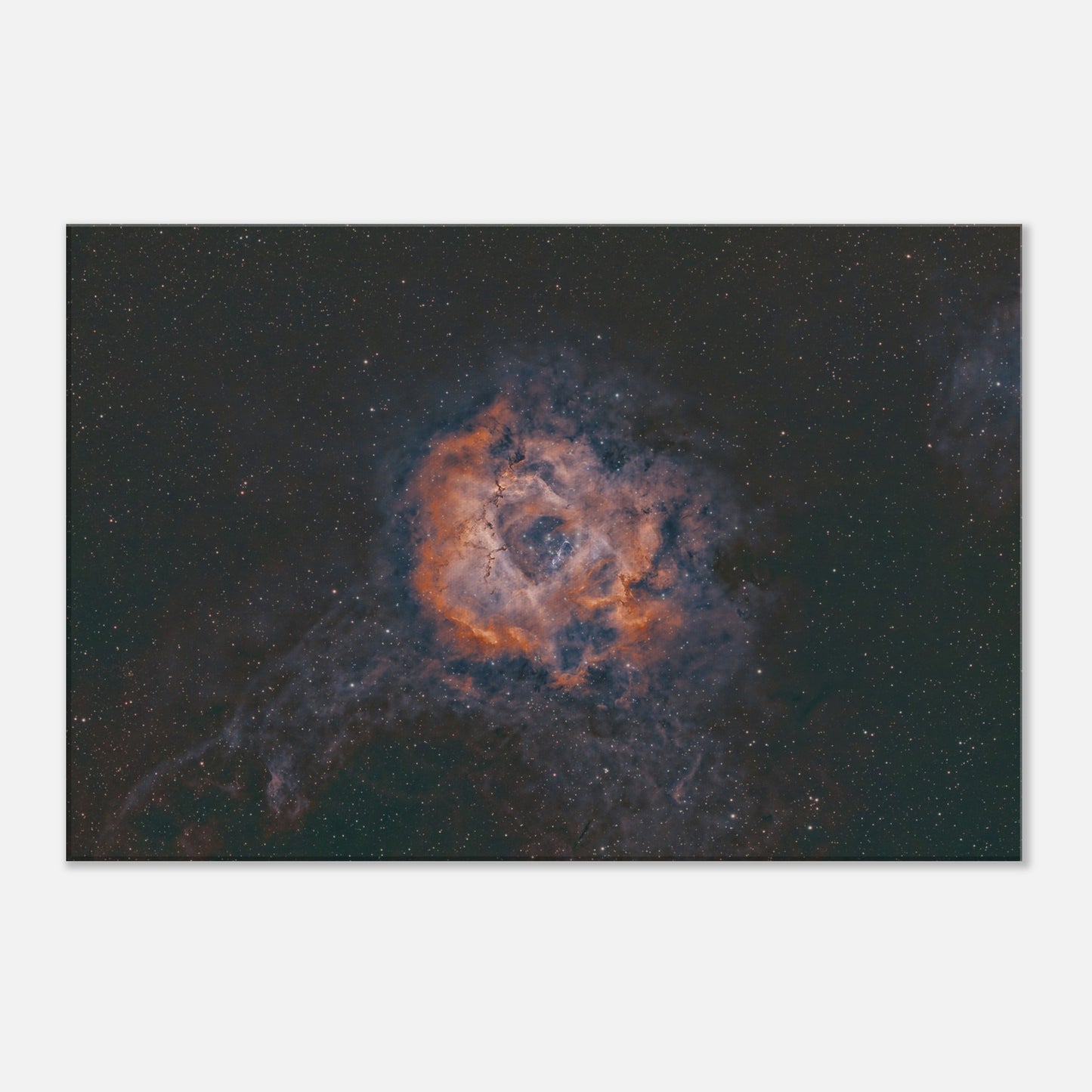 Canvas - The Rosette Nebula.