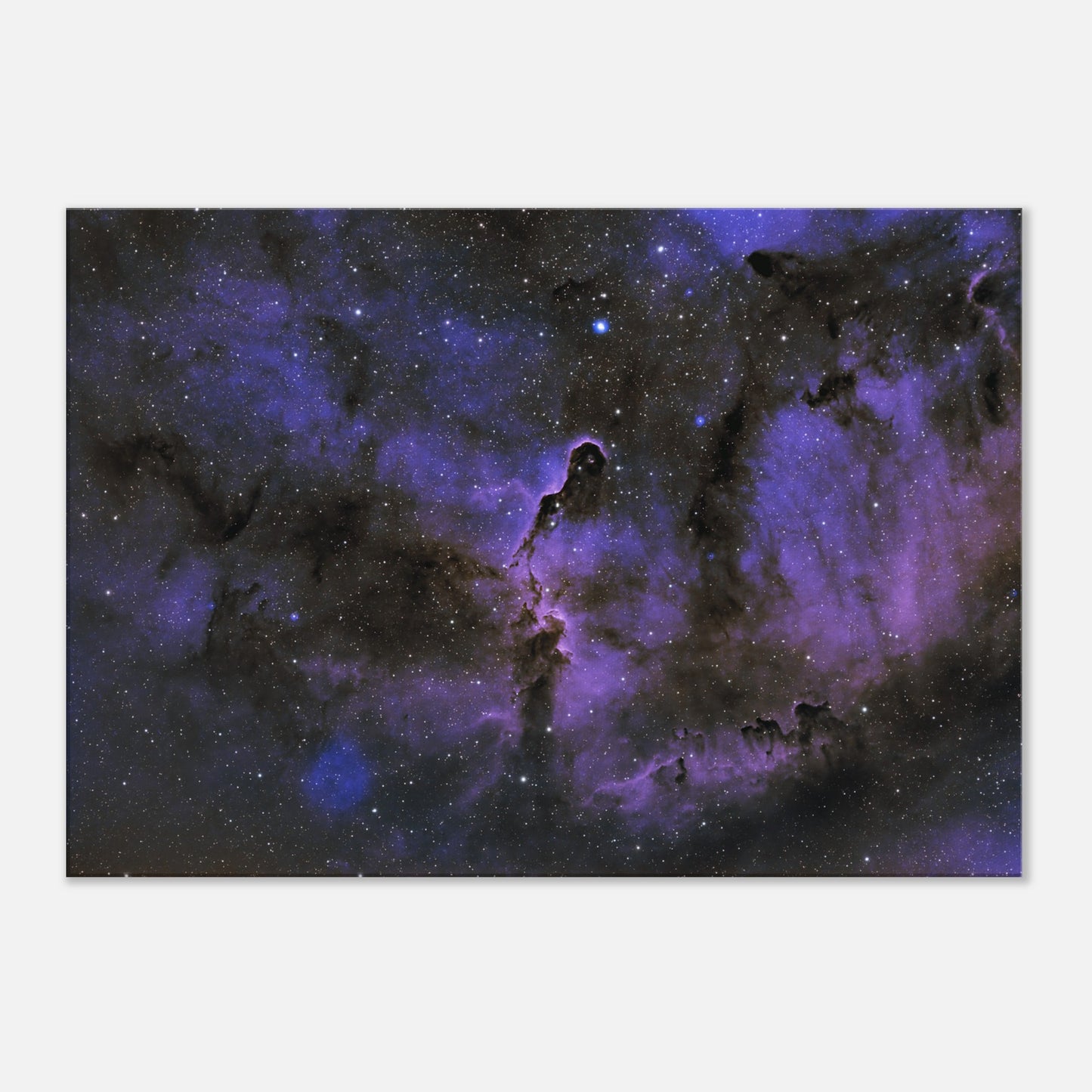 Canvas - The Elephant's Trunk Nebula