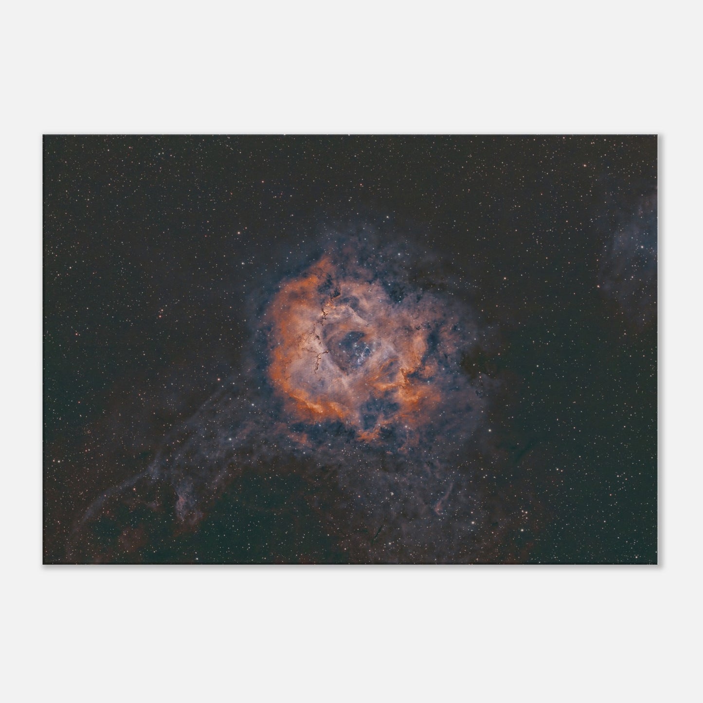 Canvas - The Rosette Nebula.