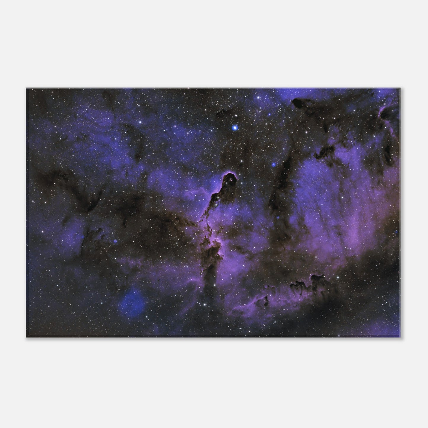 Canvas - The Elephant's Trunk Nebula