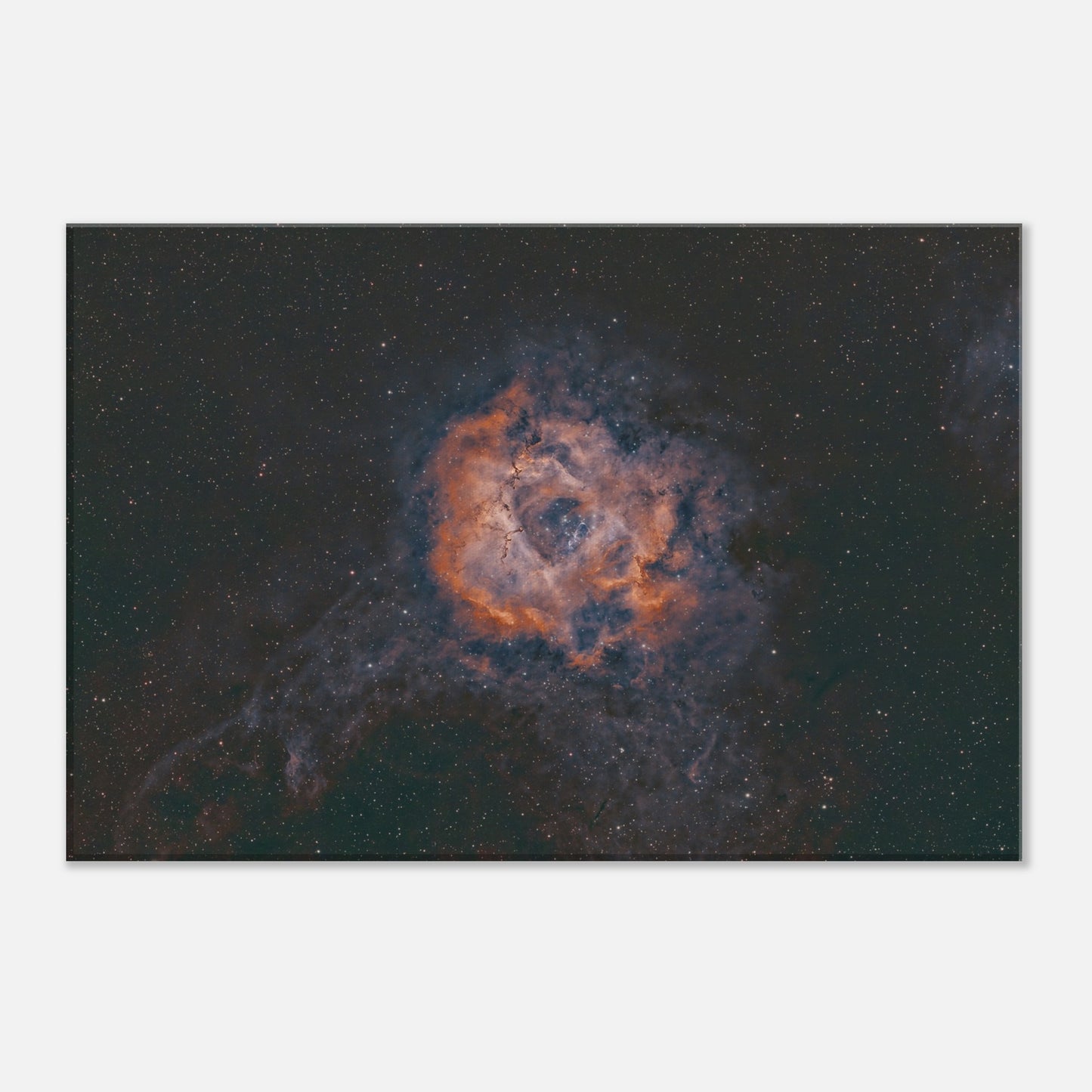 Canvas - The Rosette Nebula.