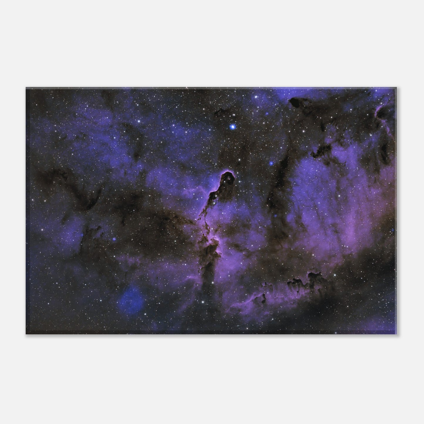 Canvas - The Elephant's Trunk Nebula