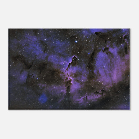 Canvas - The Elephant's Trunk Nebula
