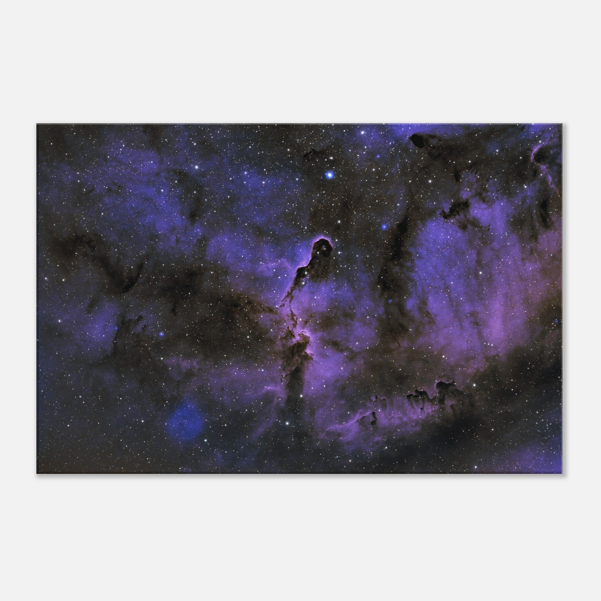 Canvas - The Elephant's Trunk Nebula-Matt’s Space Pics