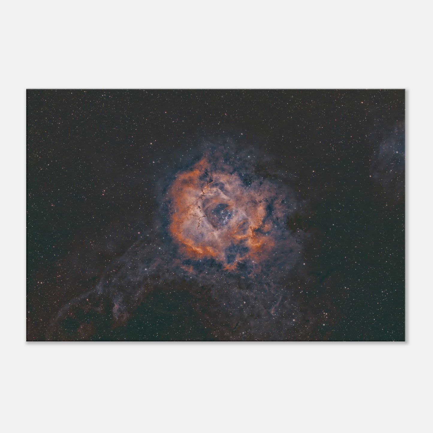 Canvas - The Rosette Nebula.